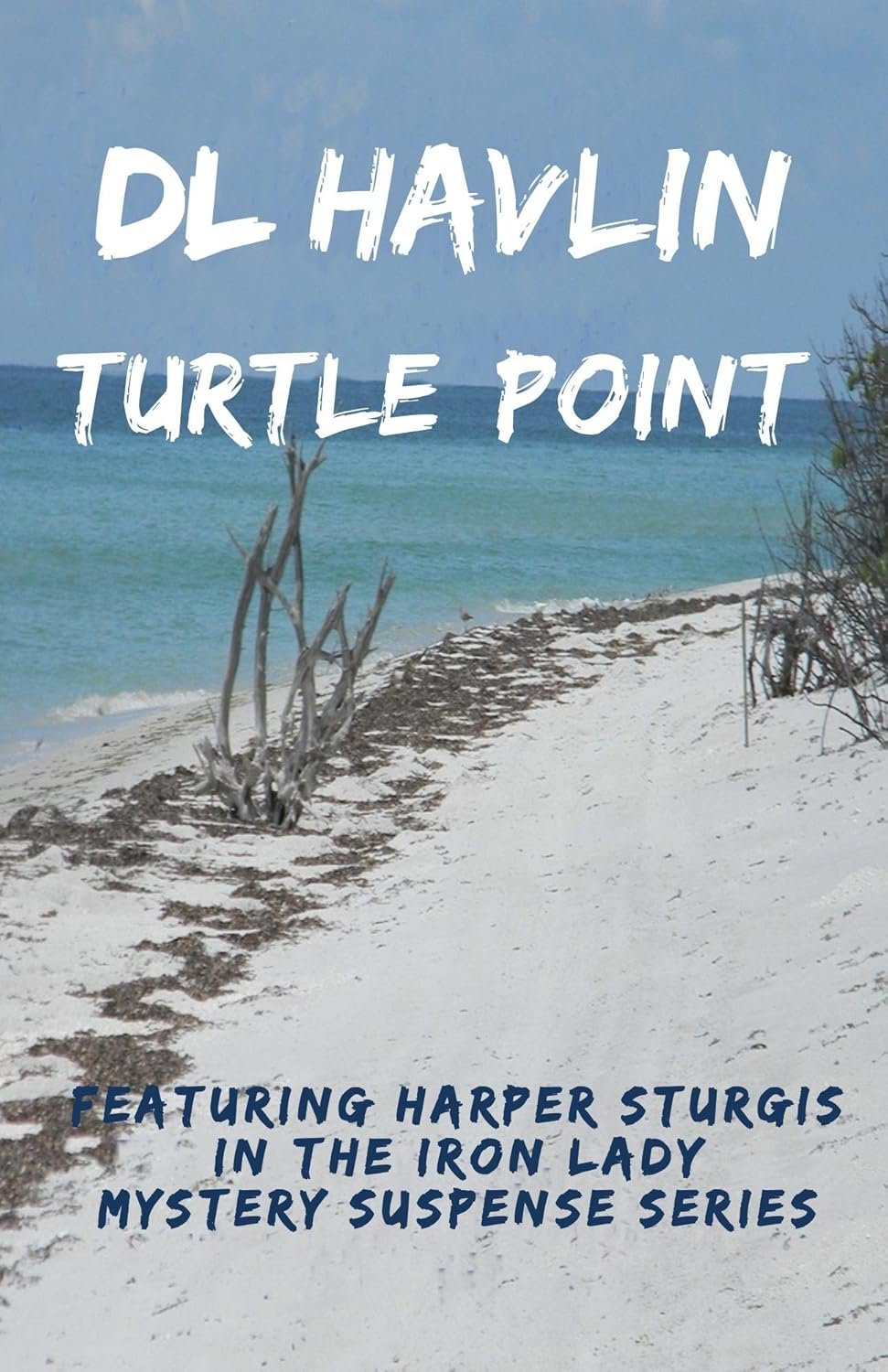 turtle point cover