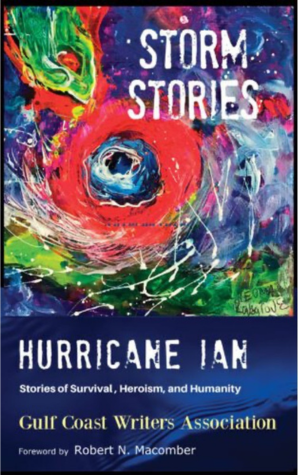 image of the storm stories book cover