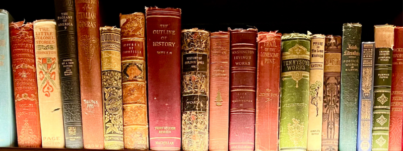 old books on a bookshelf for writers