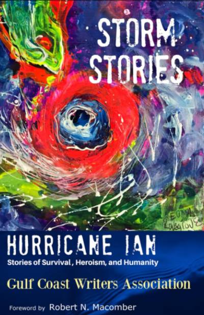 storm stories cover
