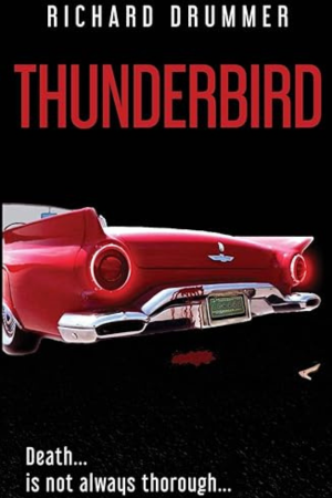 thunderbird cover 2