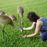 cheryl with big birds