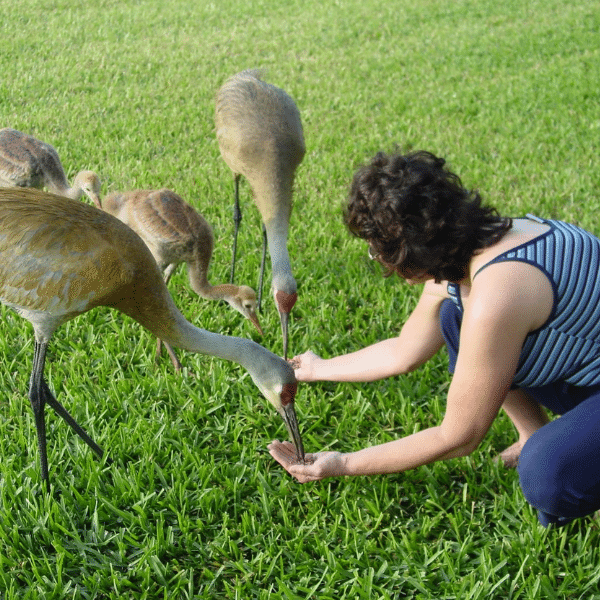 cheryl with big birds