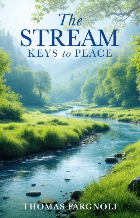 the stream book cover
